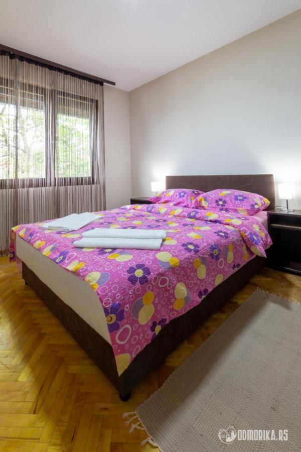 Apartmani Nina S باغينا باستا المظهر الخارجي الصورة